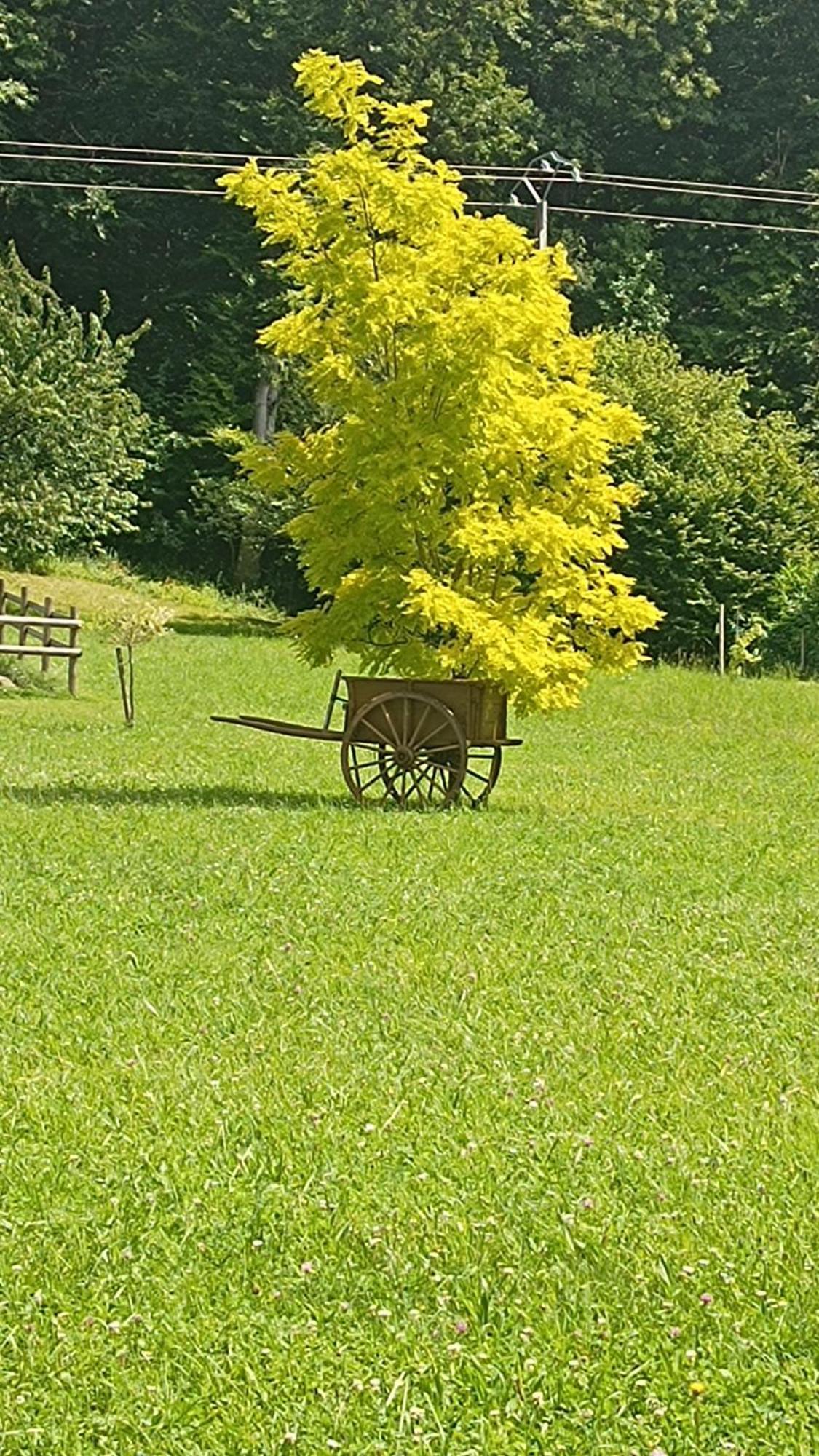 Ecommoy La Petite Maison Dans La Prairie מראה חיצוני תמונה